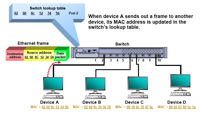 Networking - Switch Learning and Forwarding