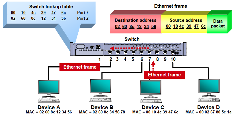 Networking - Switch Learning and Forwarding