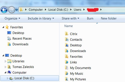Where is and how to delete ZUP file for Dynamics NAV in Windows?